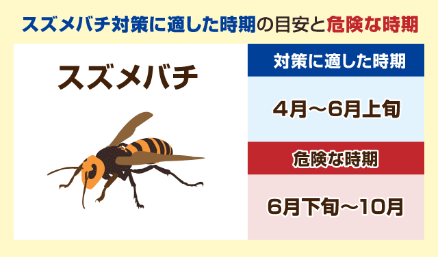 蜂の種類 黒いハチは 危険な蜂の見分け方と活動時期